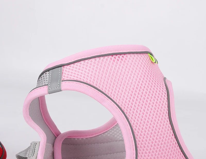 Conjunto Arnês Deluxe Ajustável