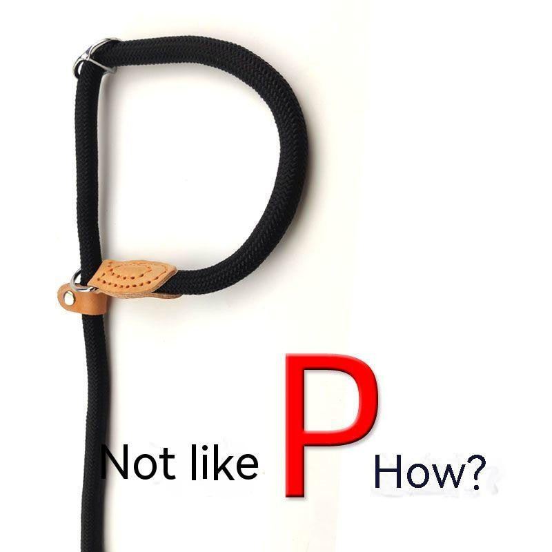 Coleira Ajustável de Nylon Premium.