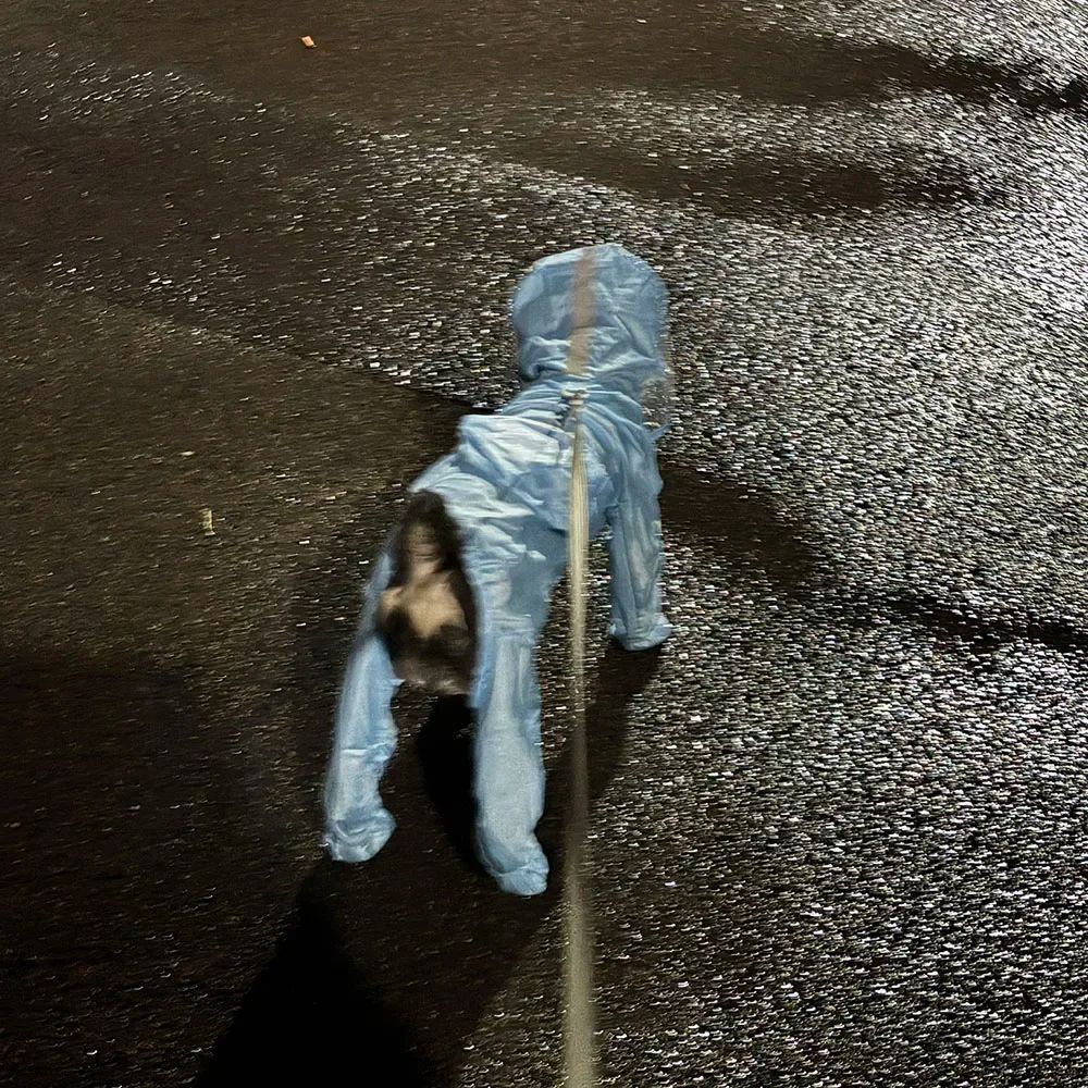 Conjunto de capa de chuva e sapatos.