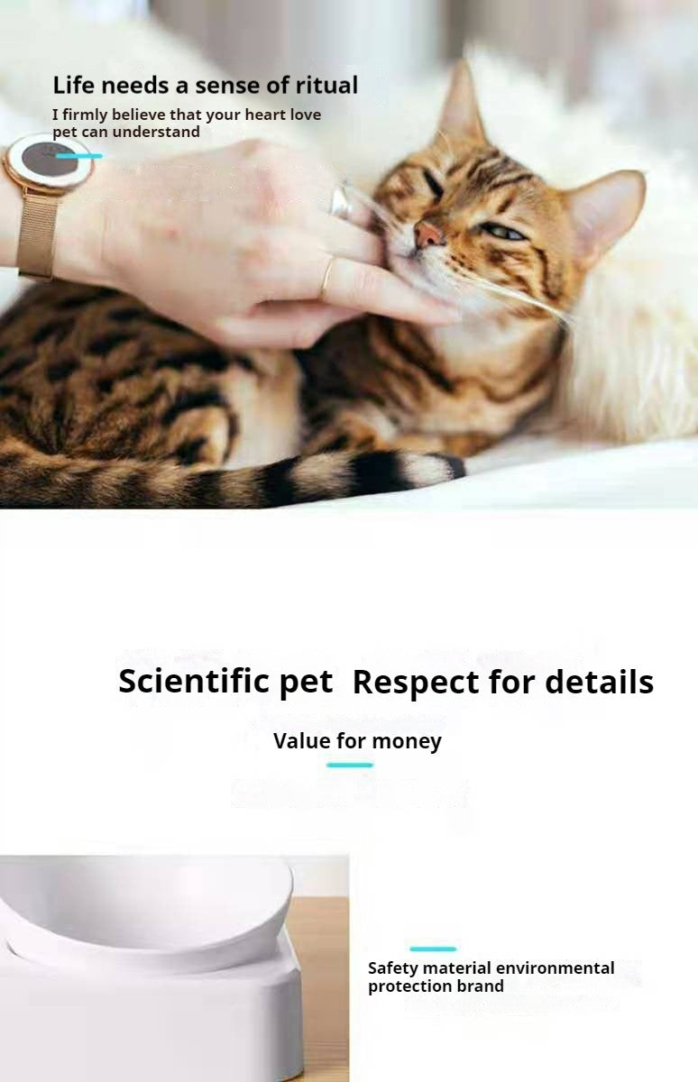 Comedouro duplo ergonômico.