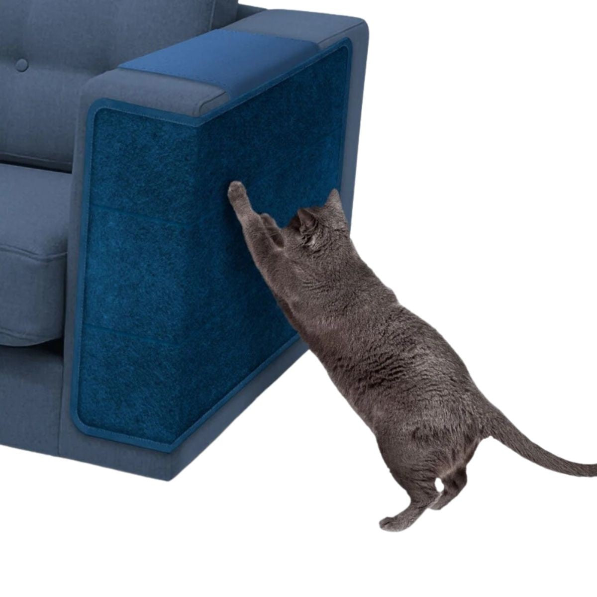 Arranhador de Sofá.