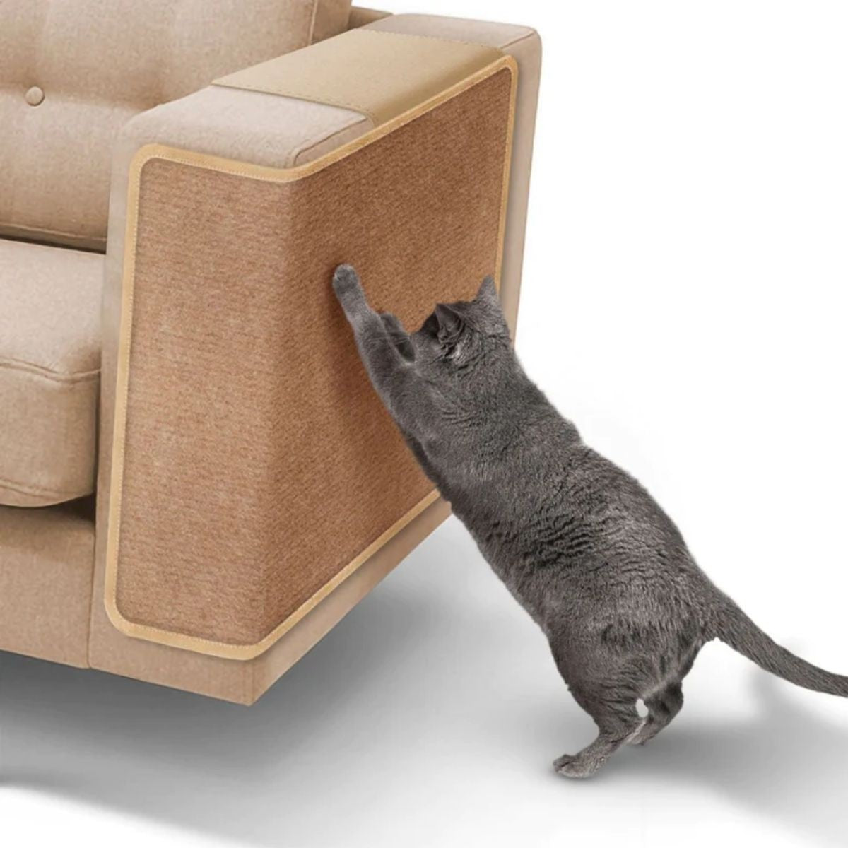 Arranhador de Sofá.