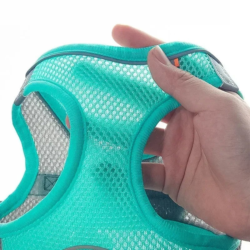 Conjunto Arnês Deluxe Ajustável