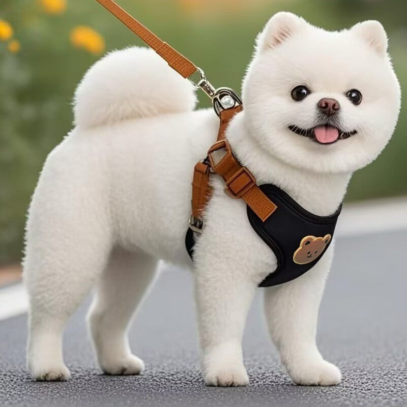 Conjunto de coleira Deluxe