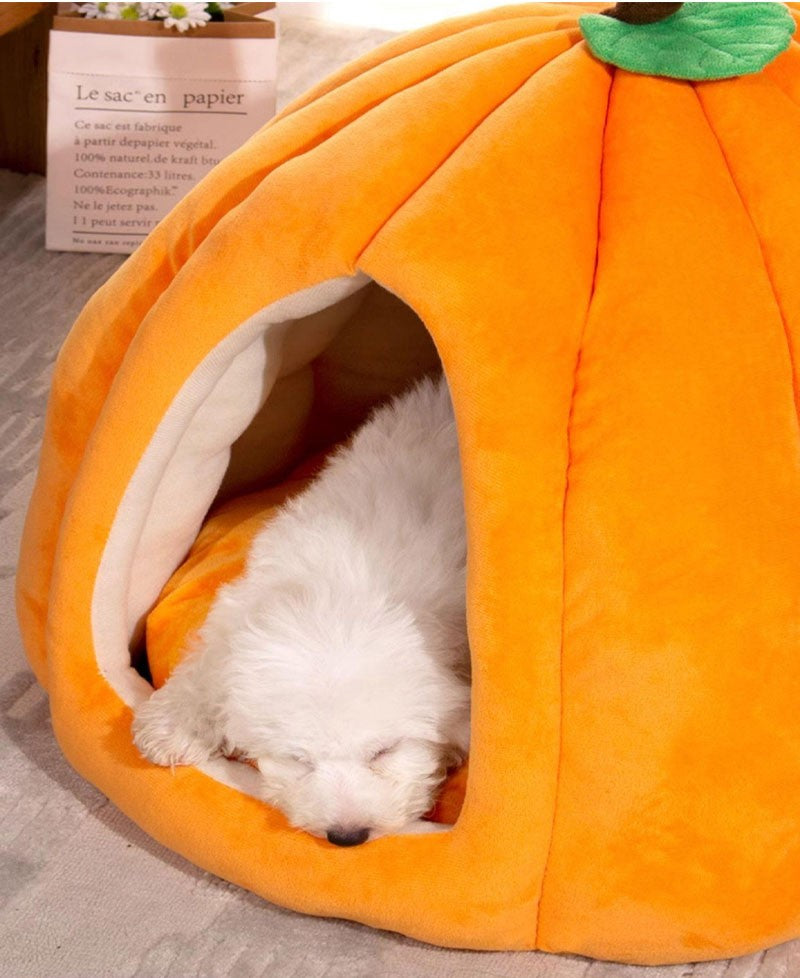 Casa Abóbora Deluxe