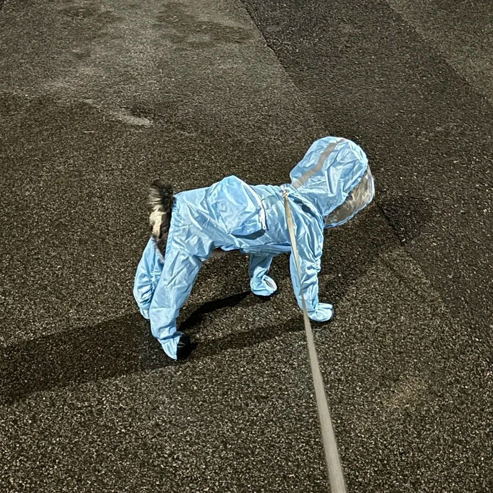 Conjunto de capa de chuva e sapatos.