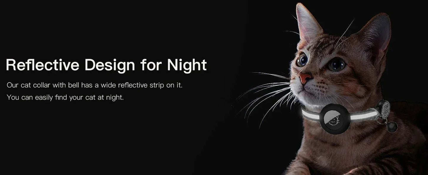 Coleira com suporte para Rastreador.