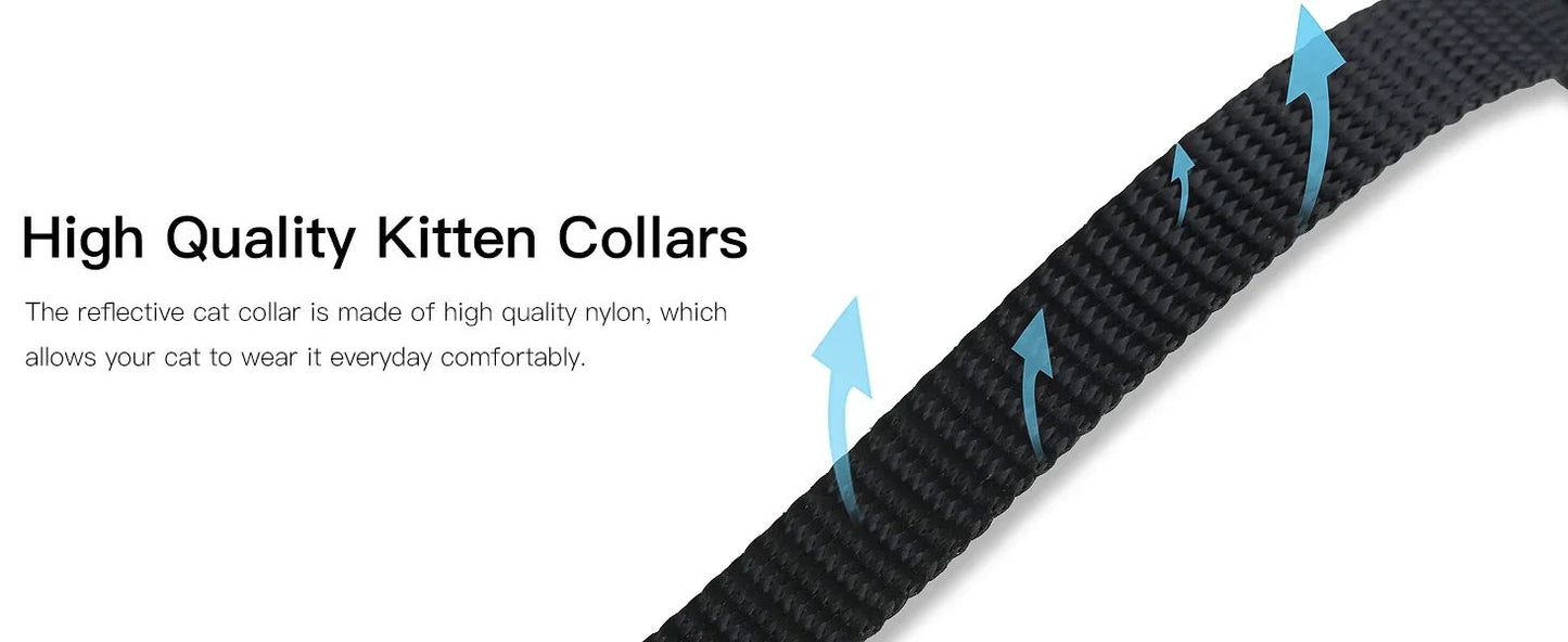 Coleira com suporte para Rastreador.