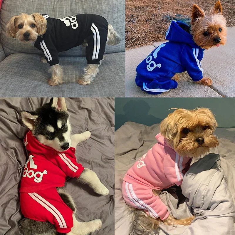 Adidog, roupas para cães.