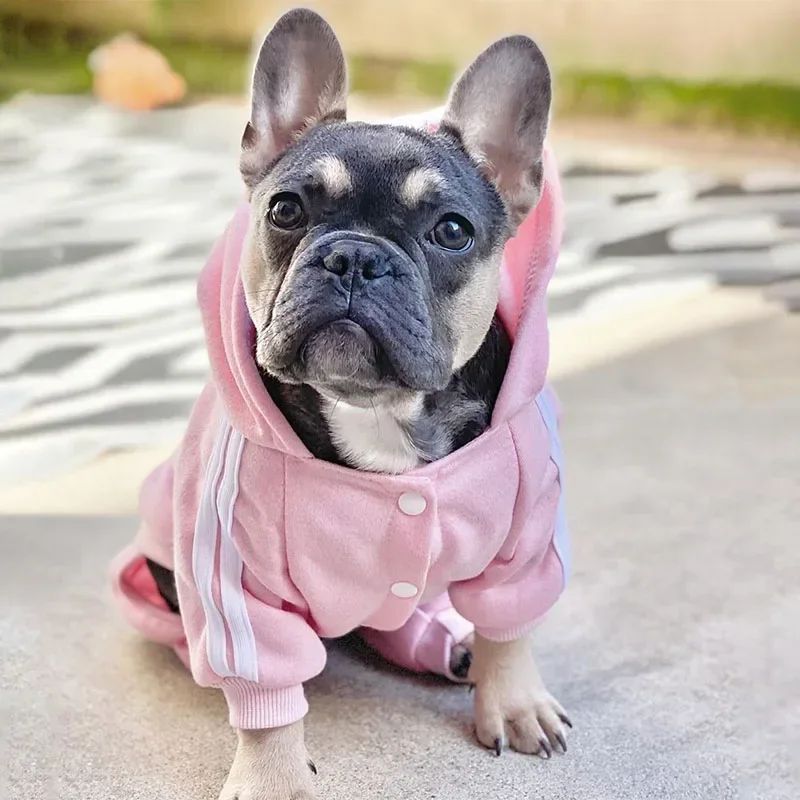 Adidog, roupas para cães.