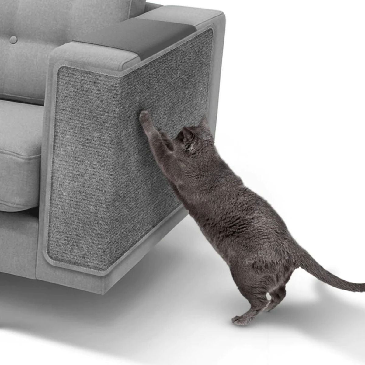 Arranhador de Sofá.