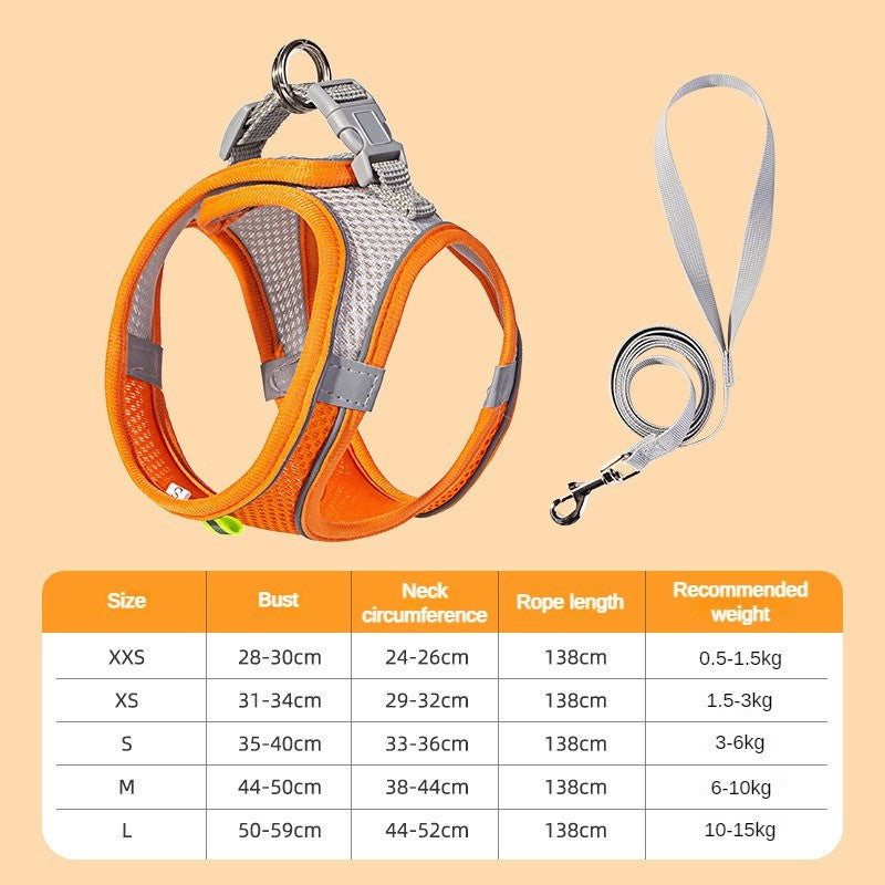 Conjunto Arnês Deluxe Ajustável
