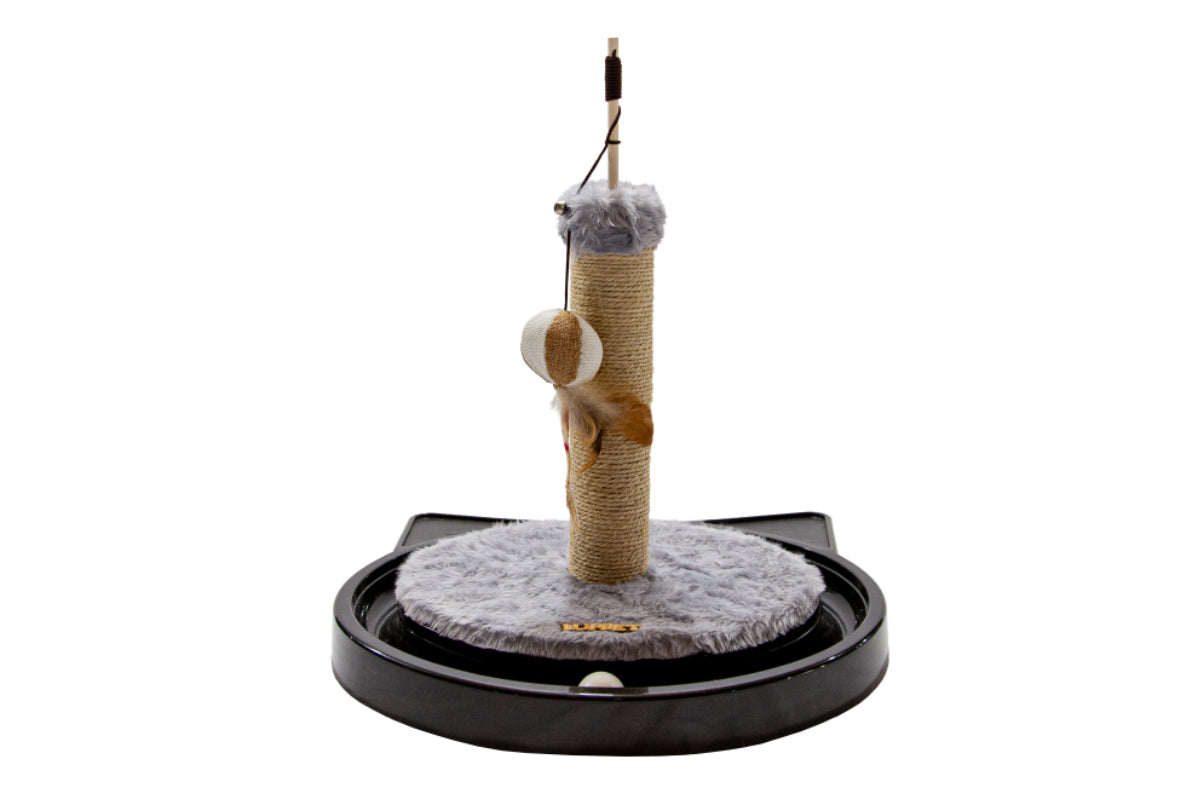 Arranhador de Torre.