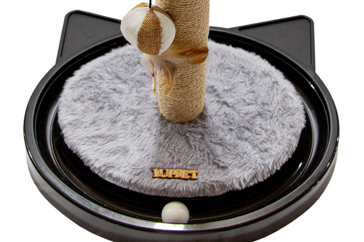 Arranhador de Torre.