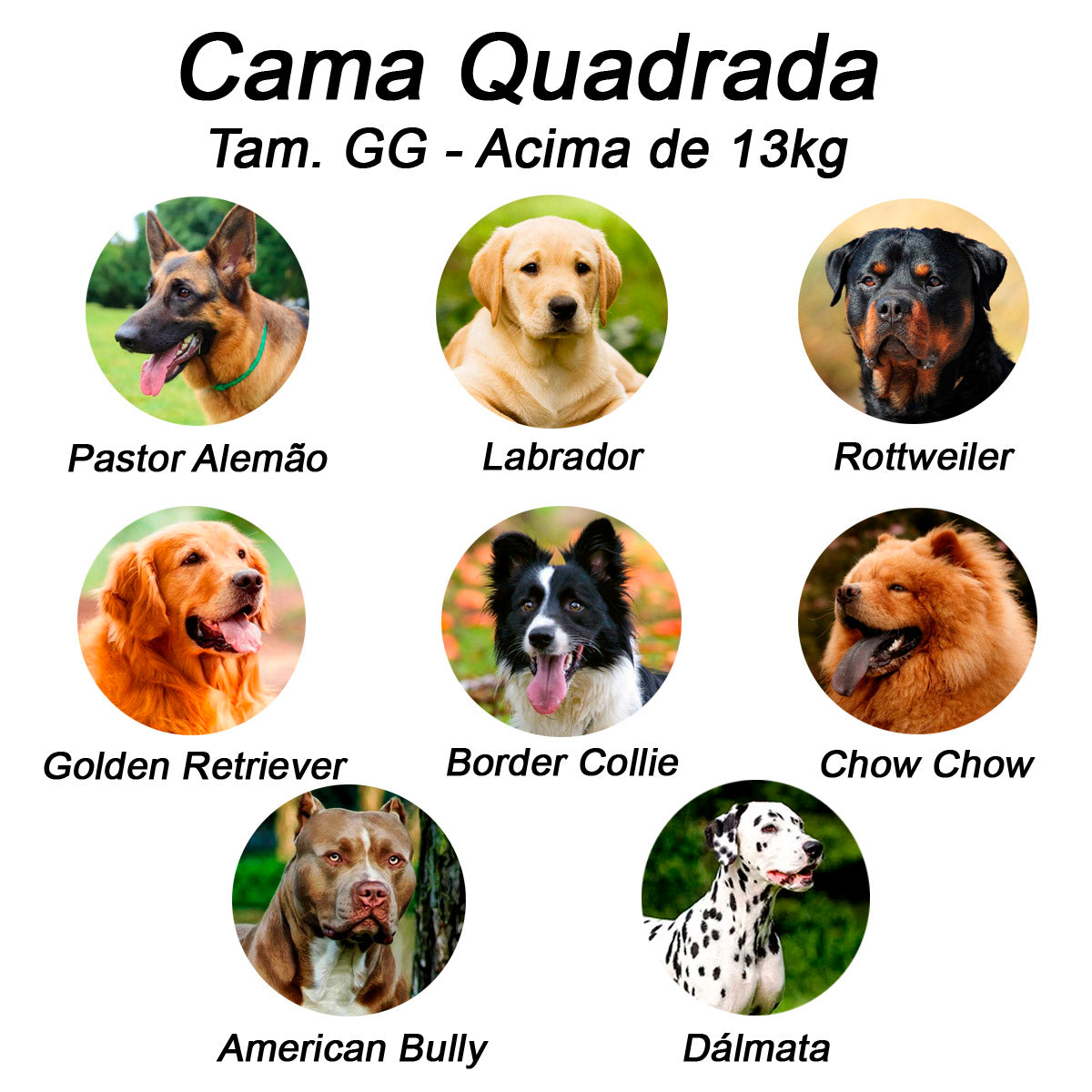 Cama Quadrada Luppet