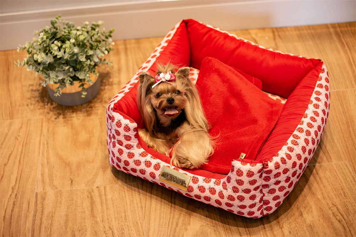 Cama Quadrada Luppet