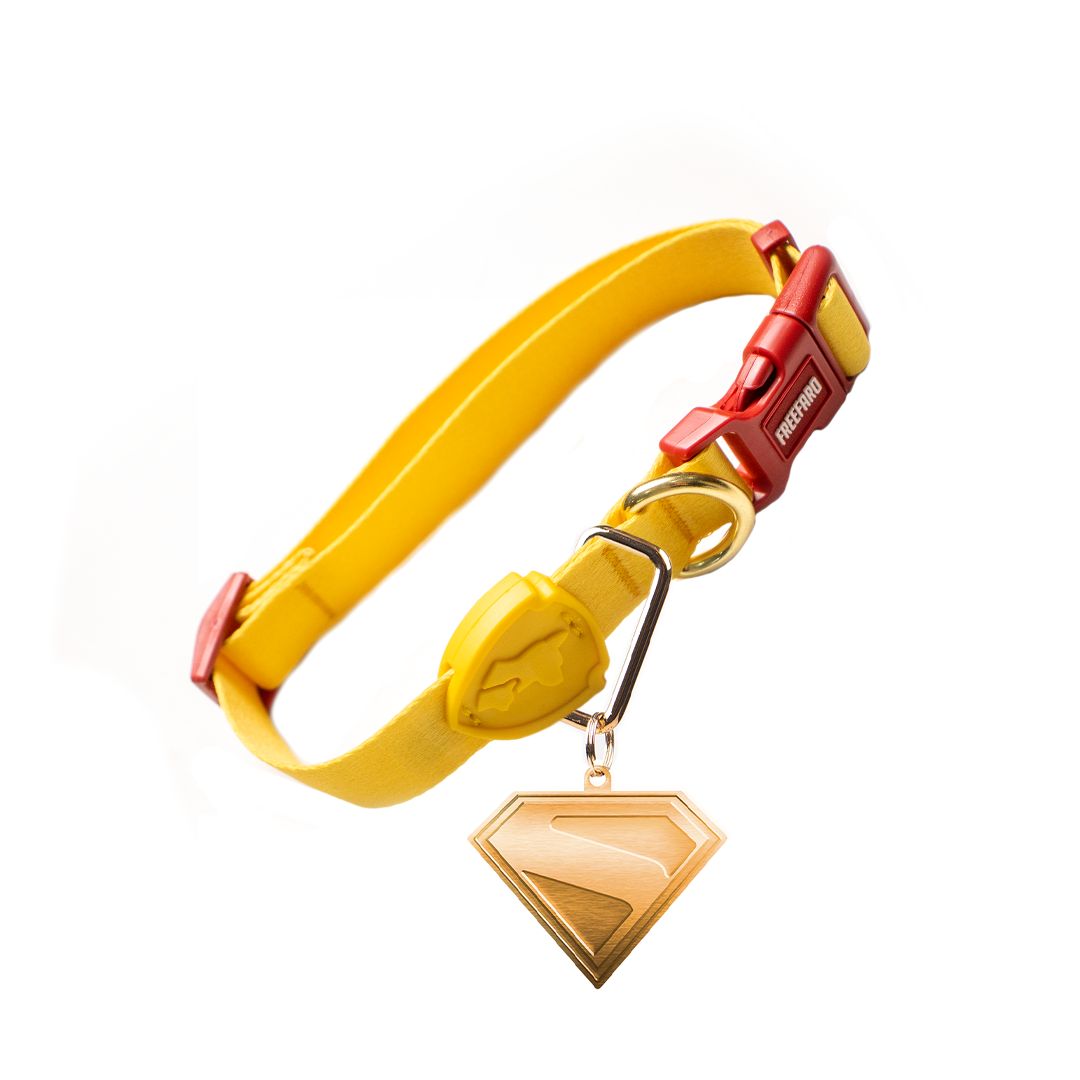 KIT Krypto (coleira, Capa e Pingente).